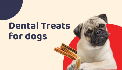 Everything You Should Know About Dental Treats for Dogs