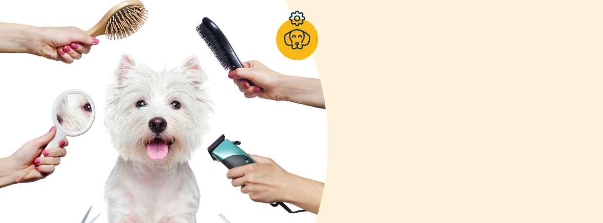dog grooming at home service