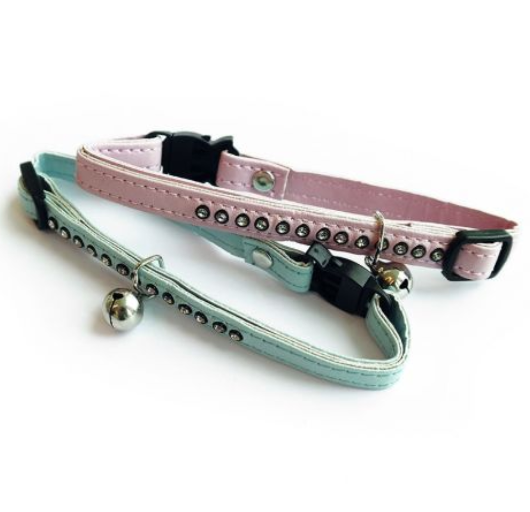 Dog Collars