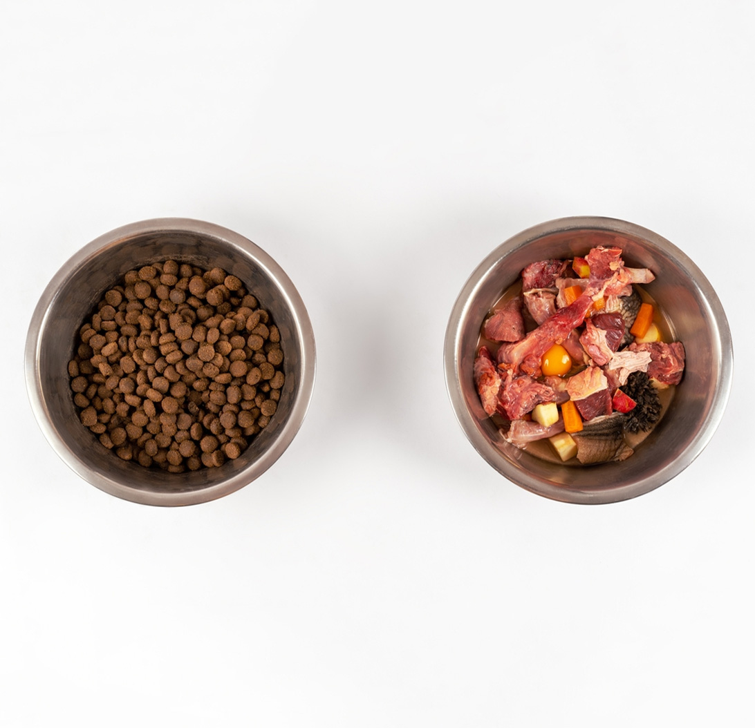 Dog Foods