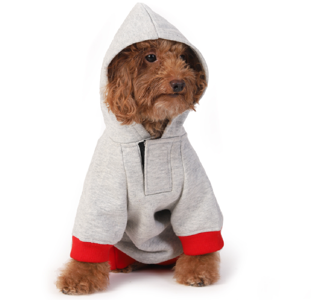 Dog Hoodies