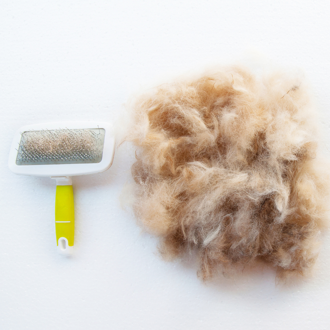 deshedding brush for dogs