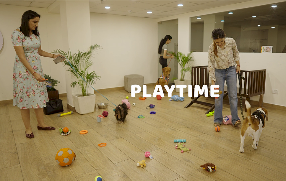 Zigly Play Area