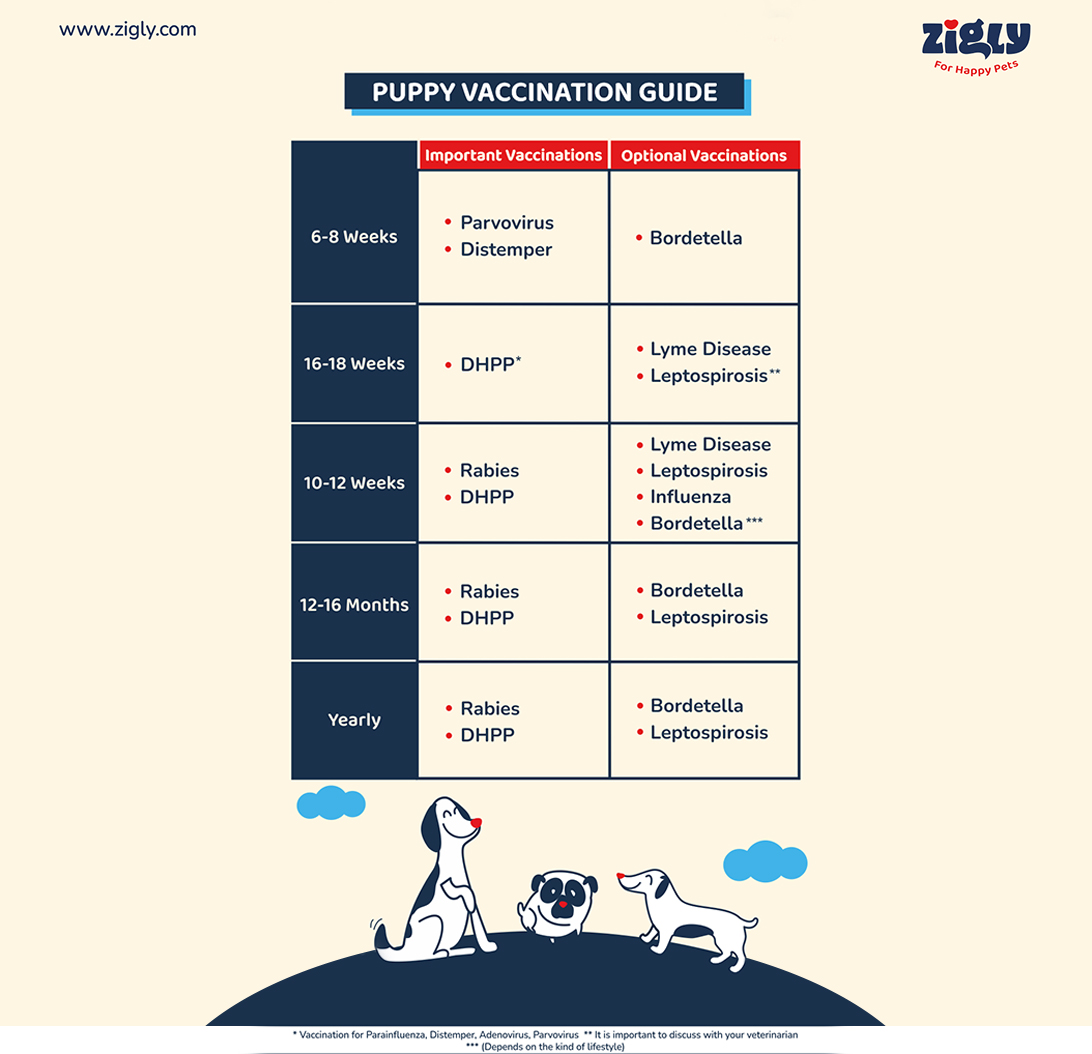 Puppy Vaccination Schedule