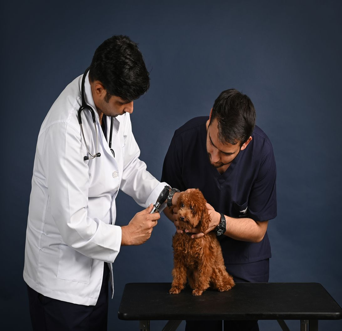 Vet Care Hospital