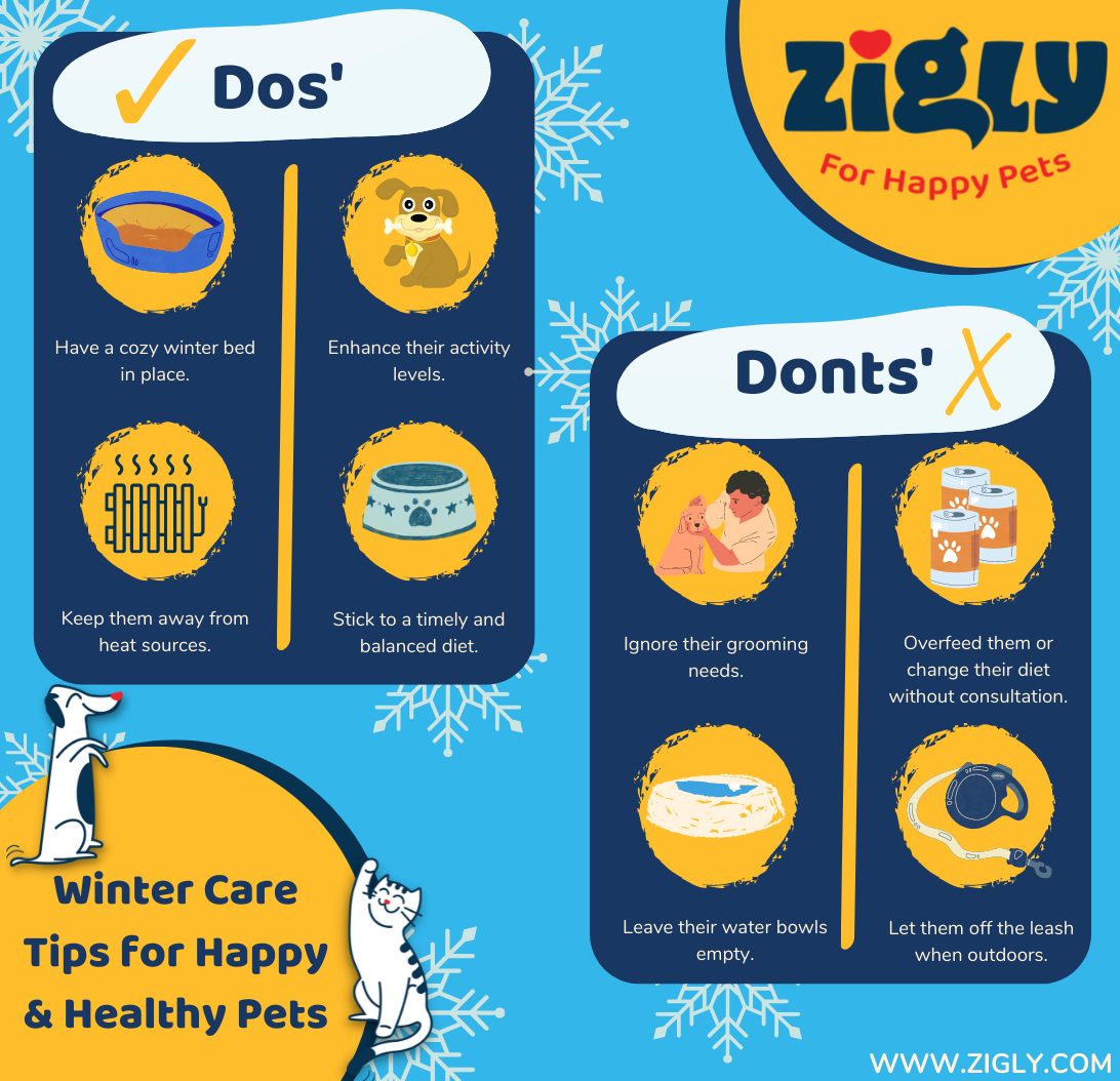 Winter care tips