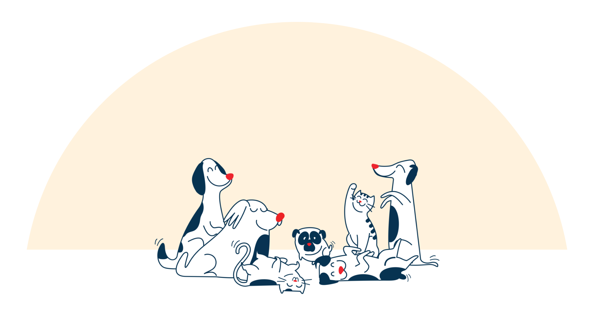 group-image-zigly