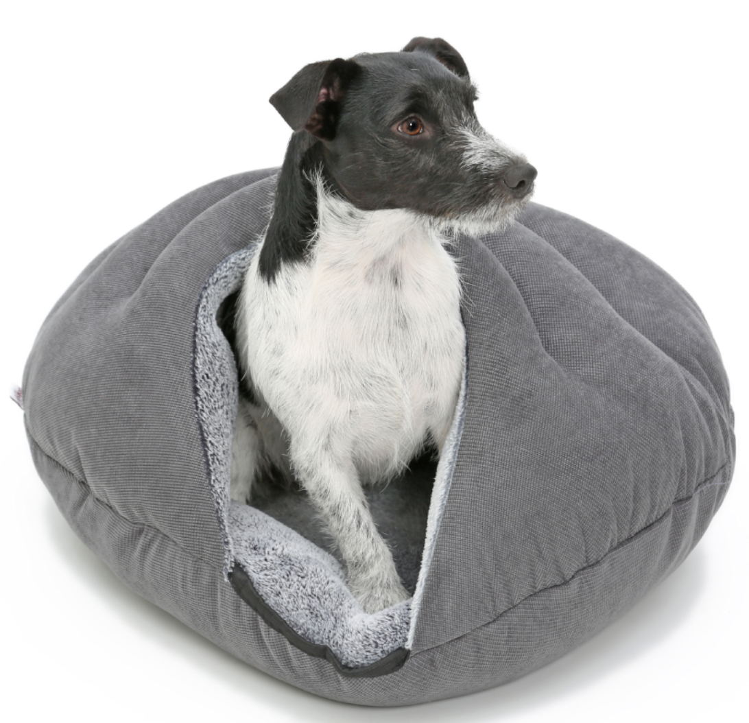 Dog Bed