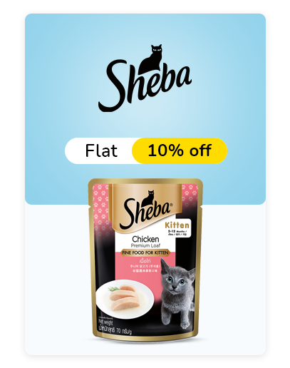 Sheba