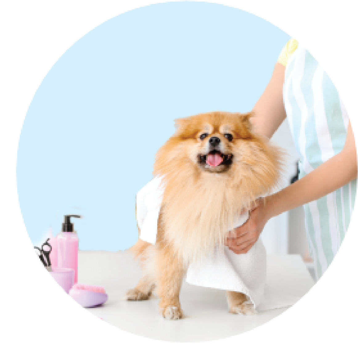 Pet Salon for all your pet grooming needs